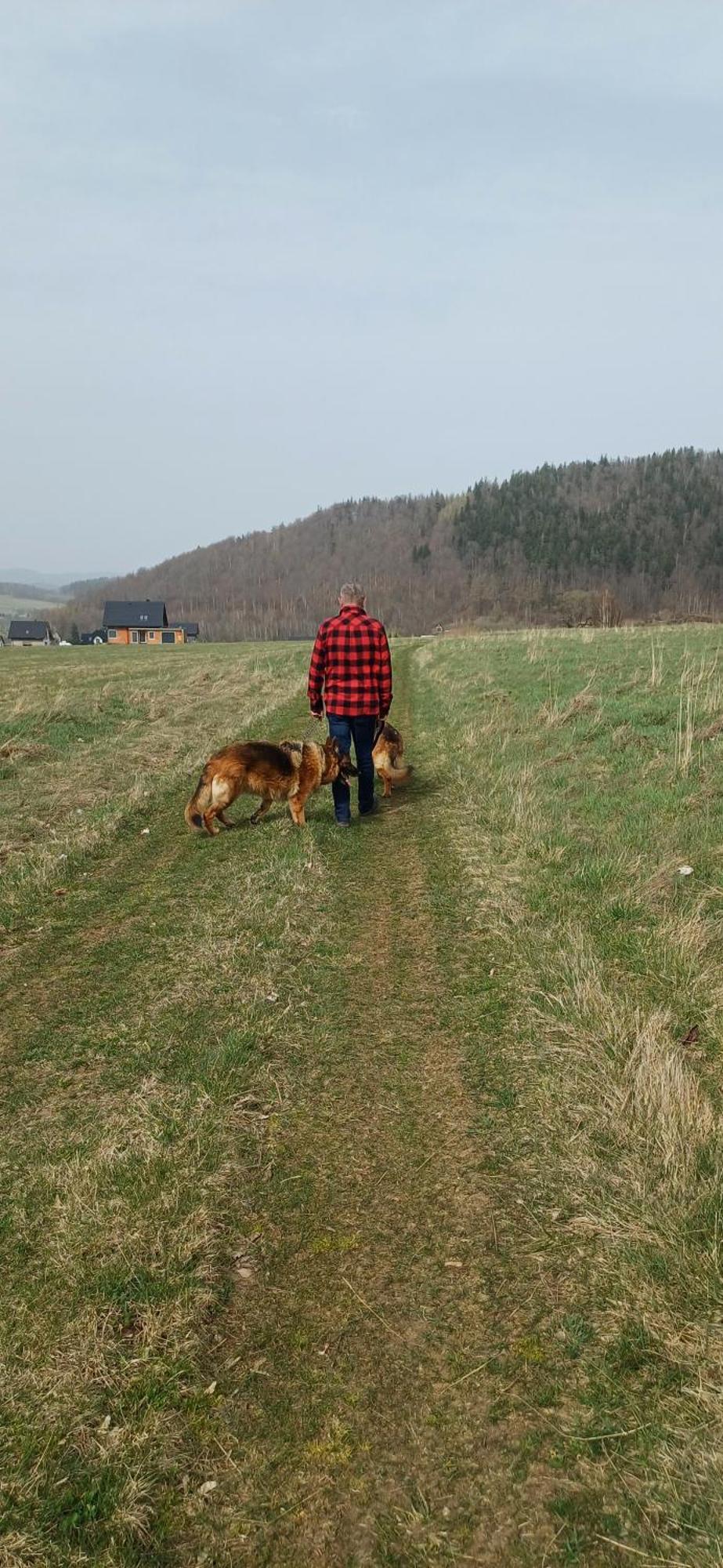 Ranczo U Jana Farm stay Stronie Slaskie